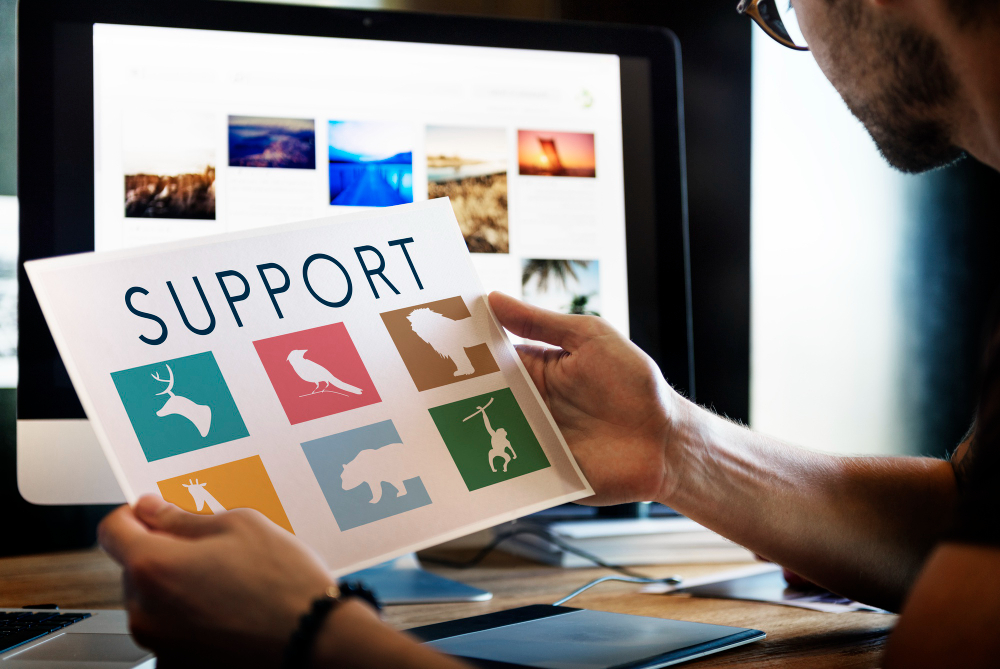 Ongoing Support and Growth